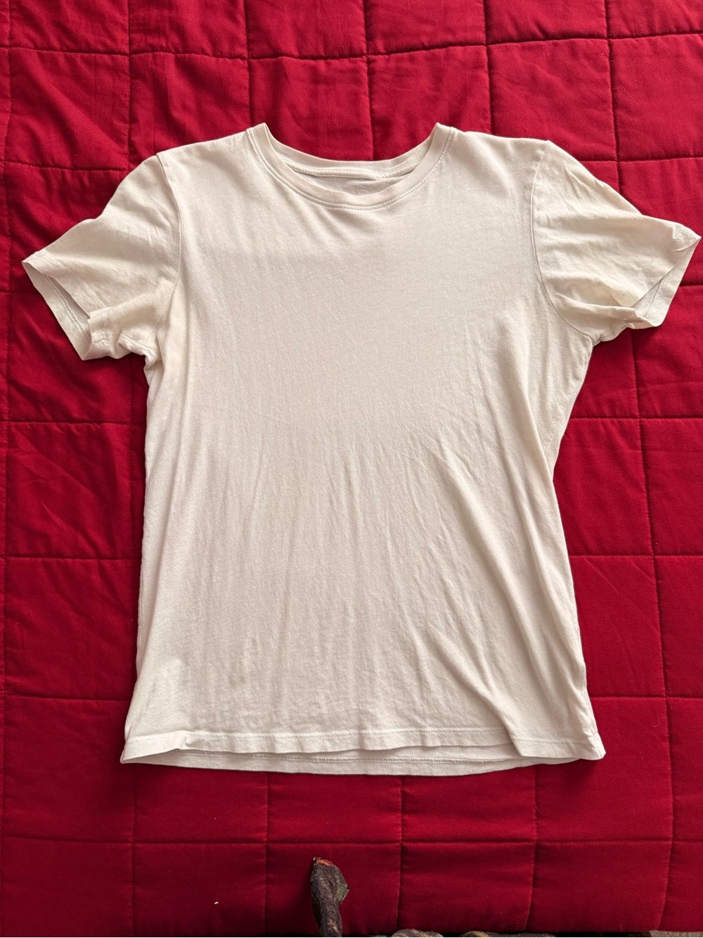 Everlane Cream Short-Sleeve Crewneck Tee